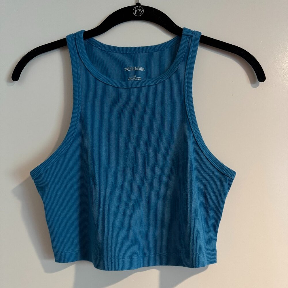 Wild Fable Crop Top